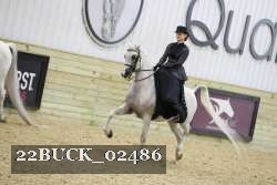 22BUCK_02486 proof