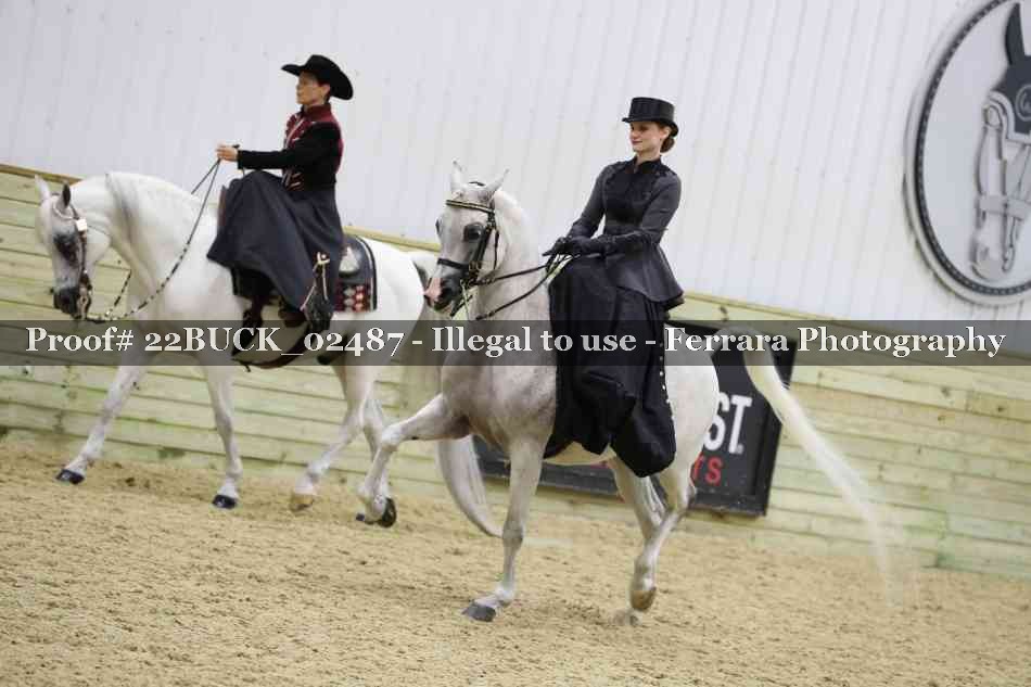 Proof 22BUCK_02487