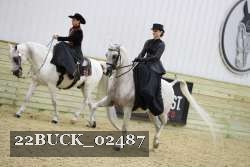22BUCK_02487 proof