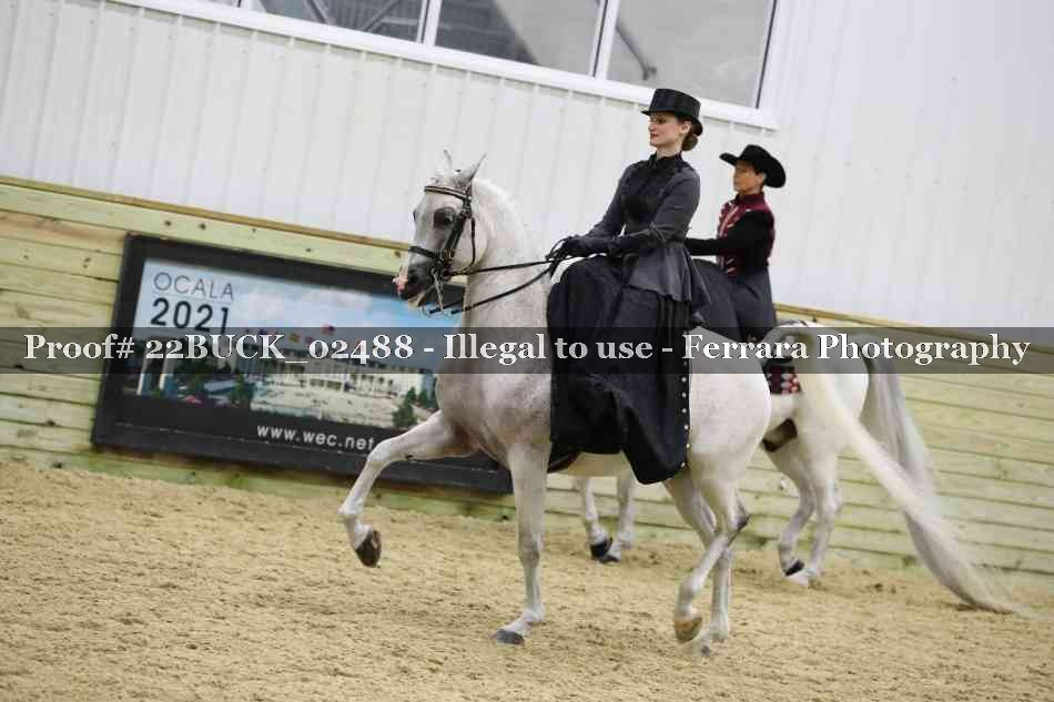 Proof 22BUCK_02488