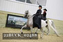 22BUCK_02488 proof