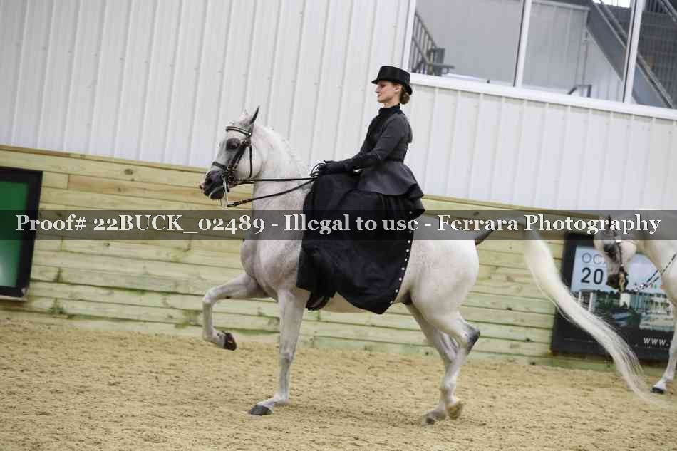 Proof 22BUCK_02489