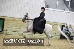 22BUCK_02489 proof