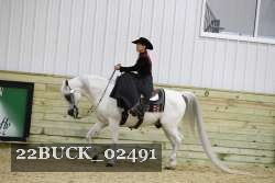 22BUCK_02491 proof