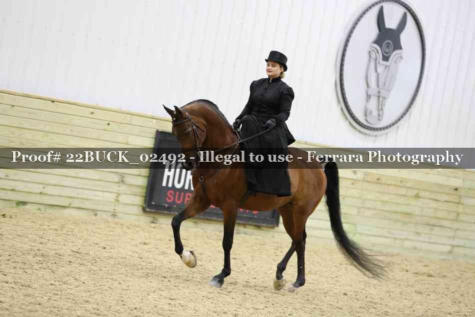 Proof 22BUCK_02492