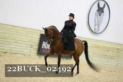 22BUCK_02492 proof