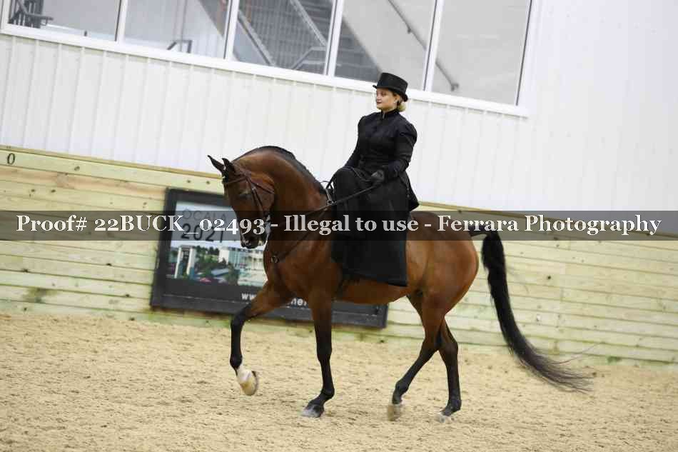 Proof 22BUCK_02493