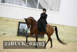 22BUCK_02493 proof