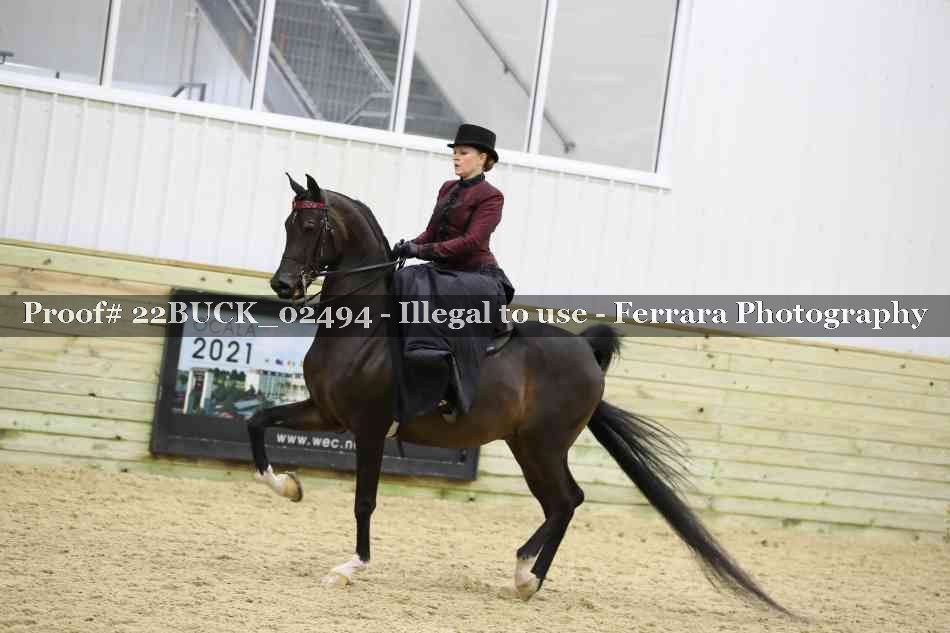Proof 22BUCK_02494