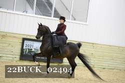 22BUCK_02494 proof
