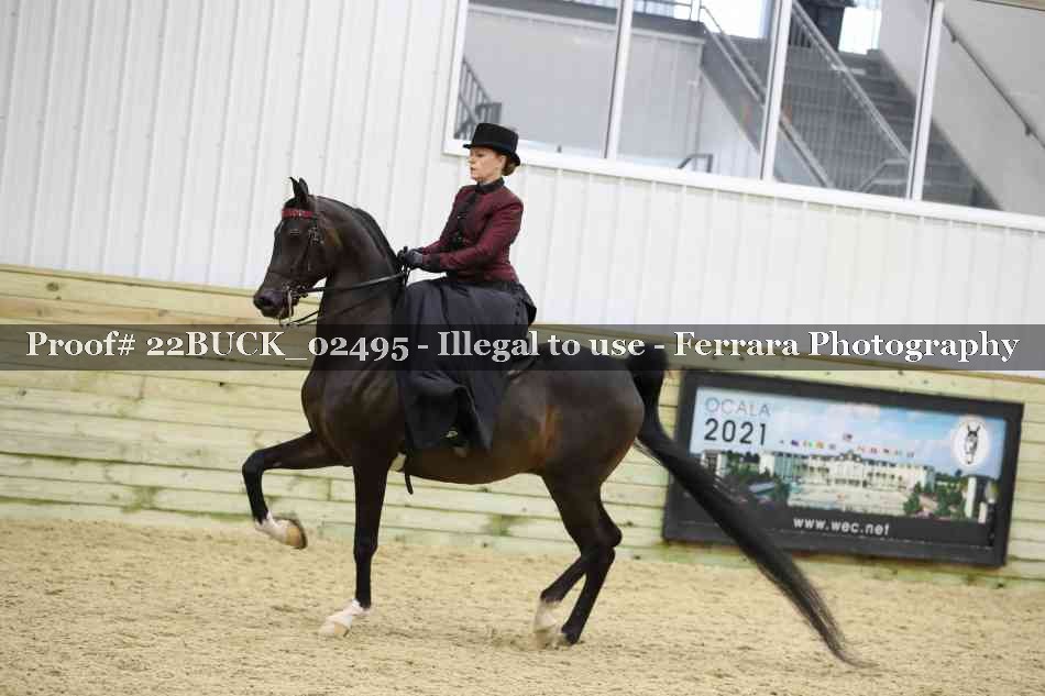 Proof 22BUCK_02495