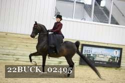 22BUCK_02495 proof