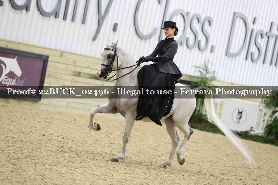 Proof 22BUCK_02496
