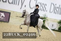22BUCK_02496 proof