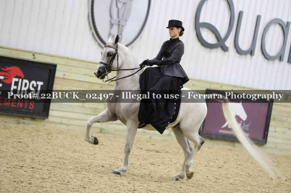 Proof 22BUCK_02497
