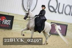 22BUCK_02497 proof