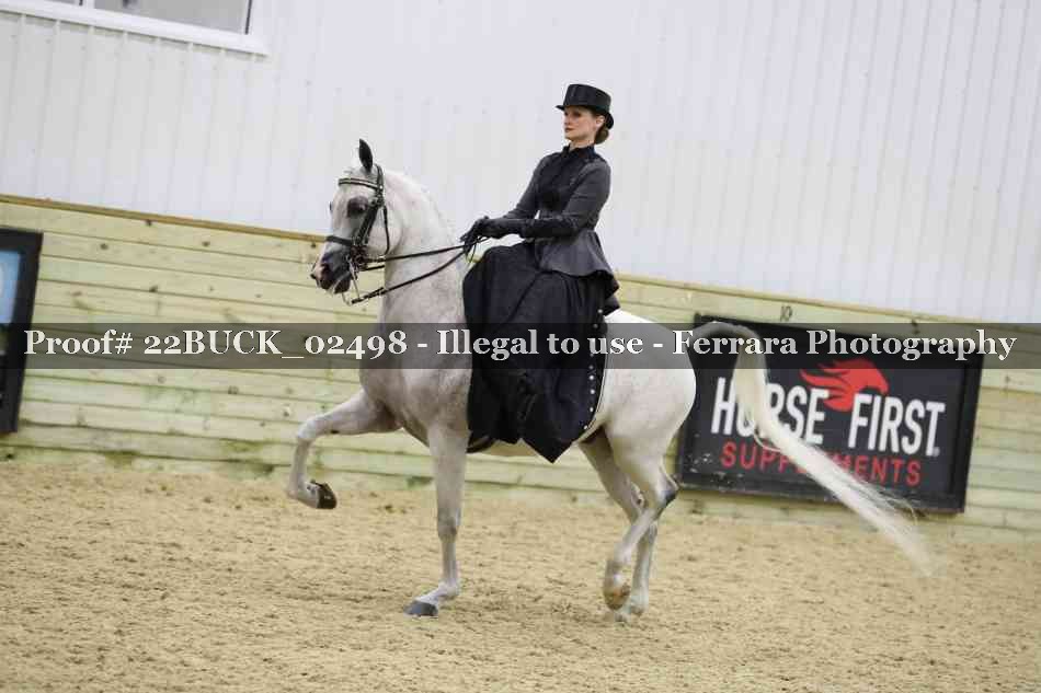 Proof 22BUCK_02498