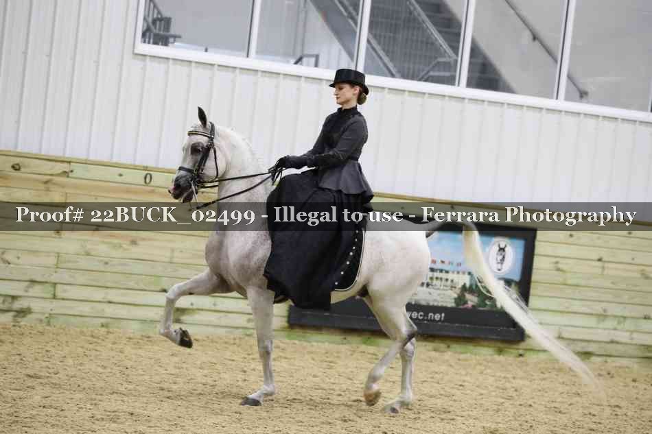 Proof 22BUCK_02499