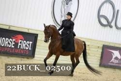 22BUCK_02500 proof