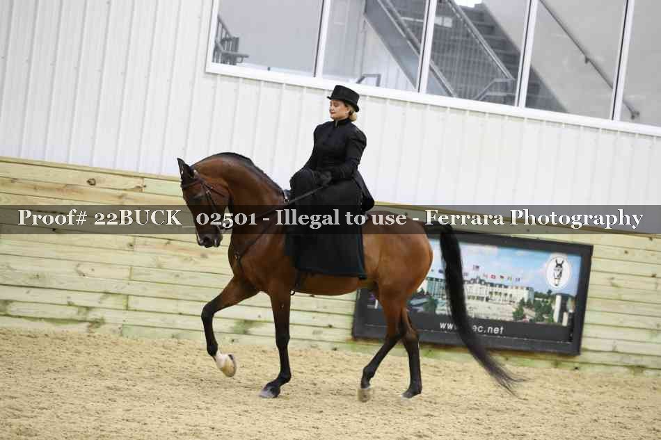 Proof 22BUCK_02501