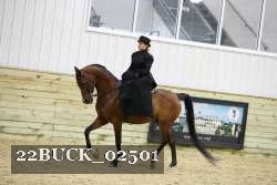 22BUCK_02501 proof