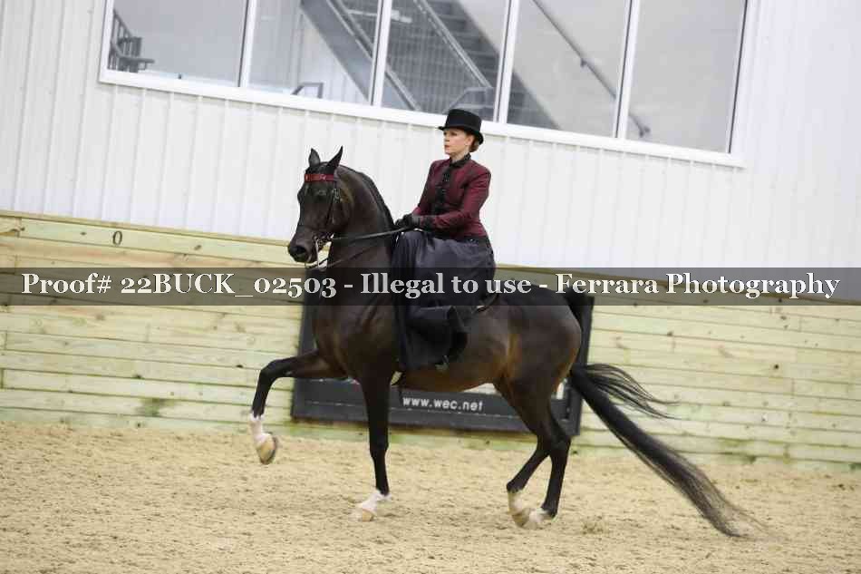 Proof 22BUCK_02503