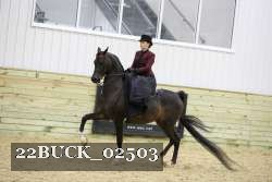 22BUCK_02503 proof