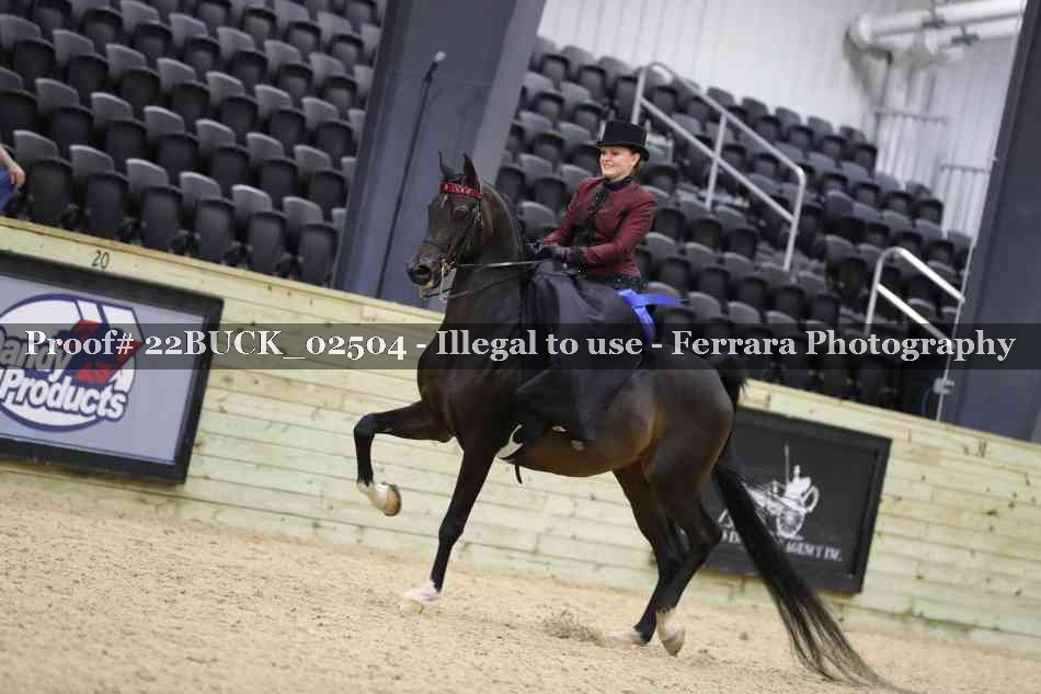 Proof 22BUCK_02504