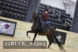 22BUCK_02504 proof