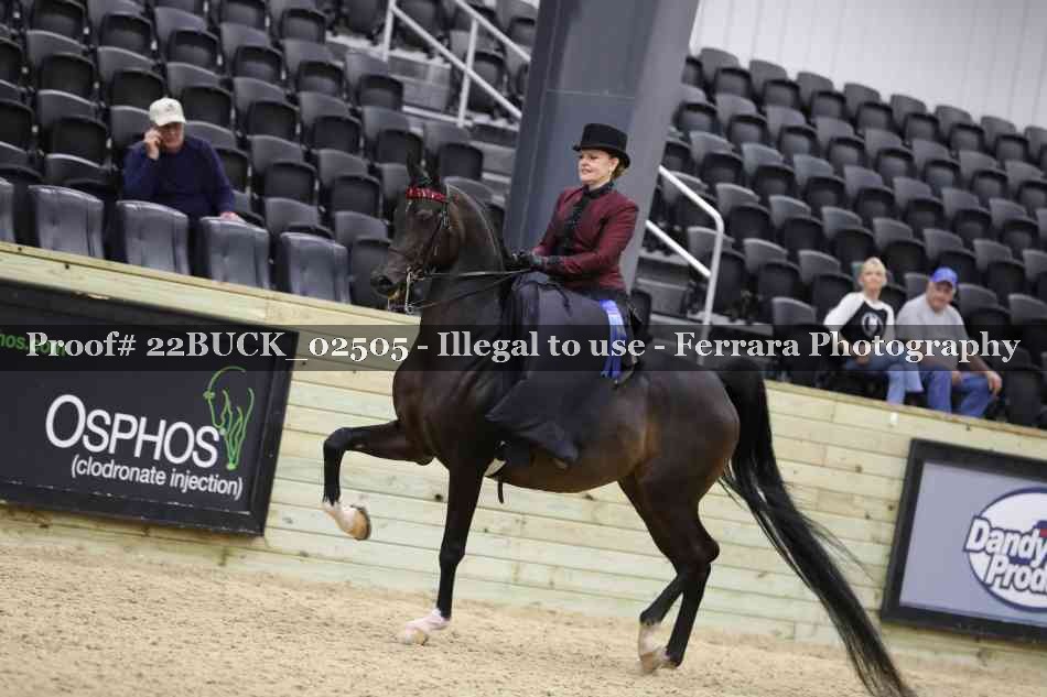 Proof 22BUCK_02505