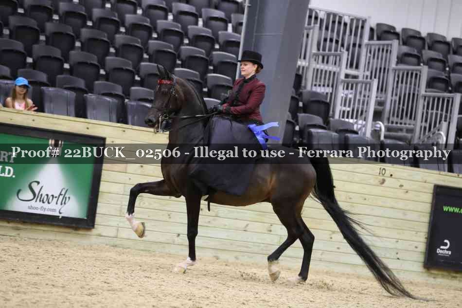 Proof 22BUCK_02506