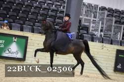 22BUCK_02506 proof