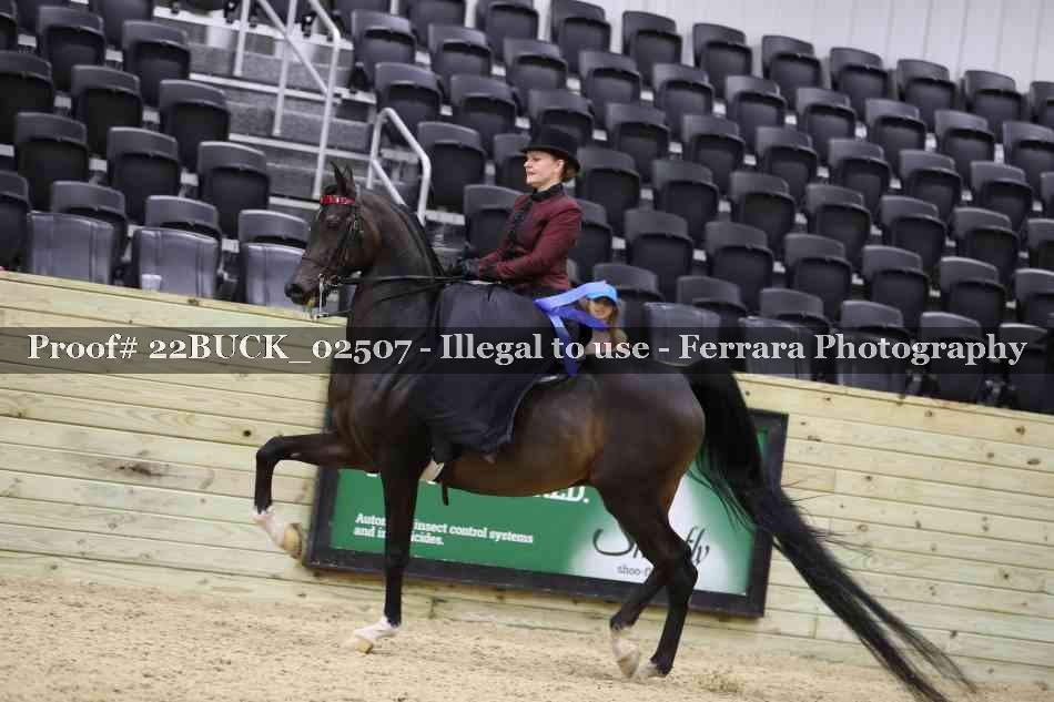 Proof 22BUCK_02507