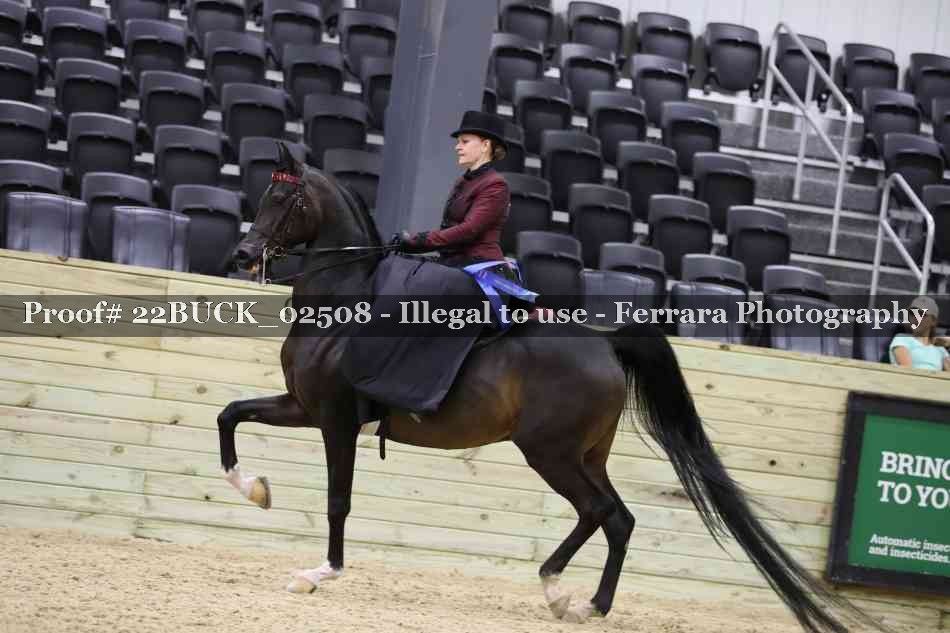 Proof 22BUCK_02508
