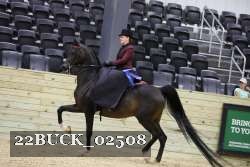 22BUCK_02508 proof