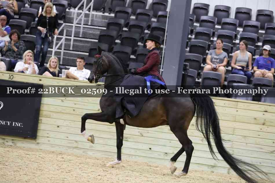 Proof 22BUCK_02509