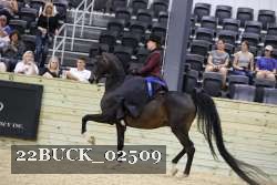 22BUCK_02509 proof