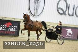 22BUCK_02511 proof