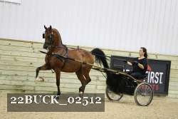 22BUCK_02512 proof