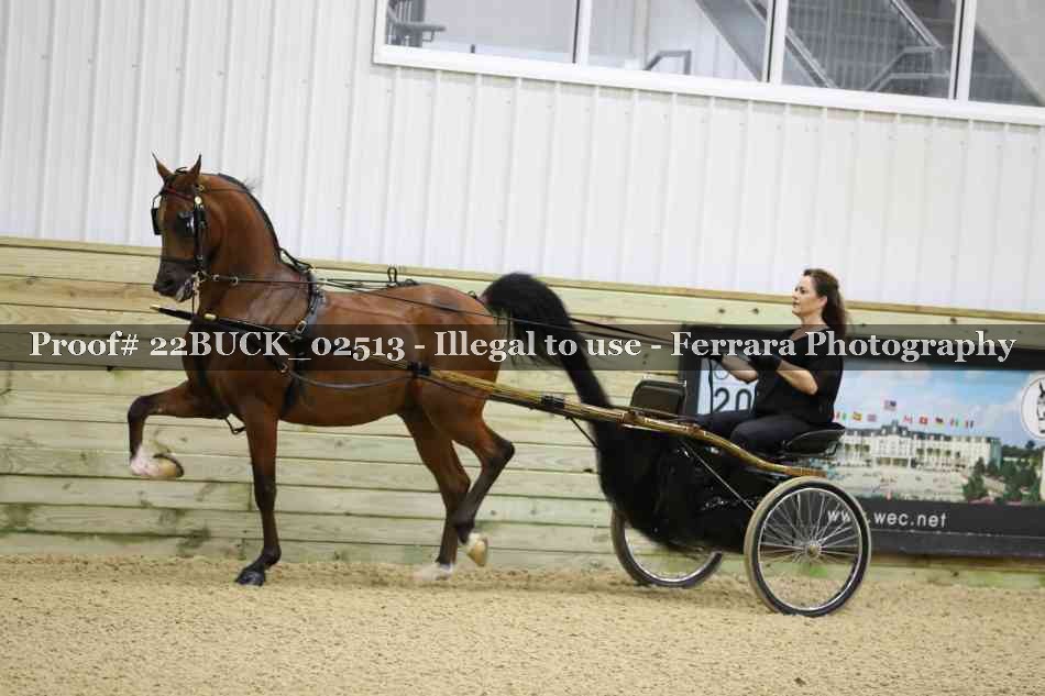 Proof 22BUCK_02513