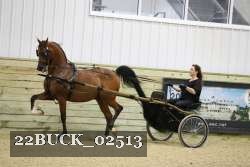 22BUCK_02513 proof