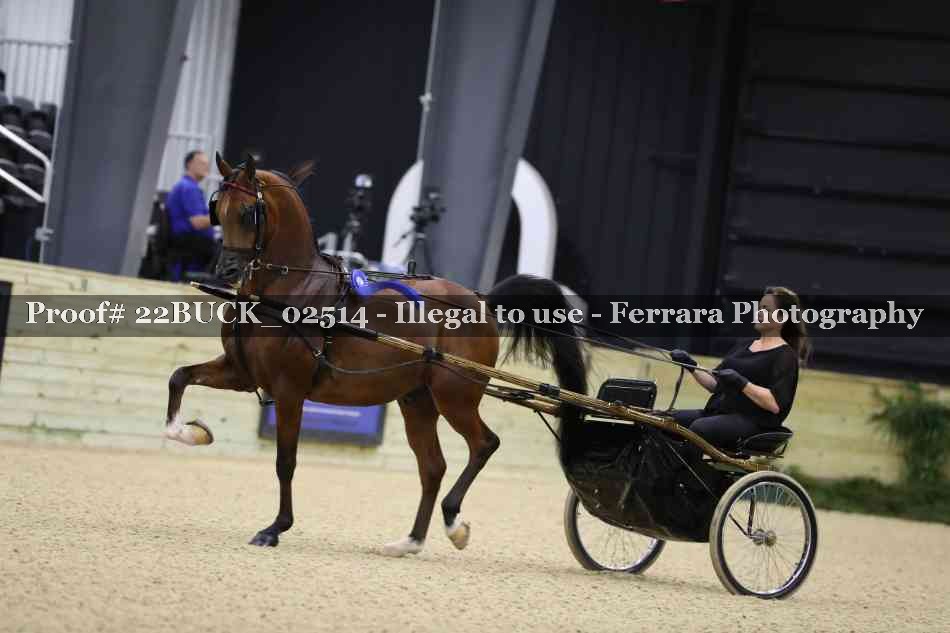 Proof 22BUCK_02514
