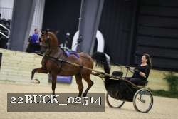22BUCK_02514 proof