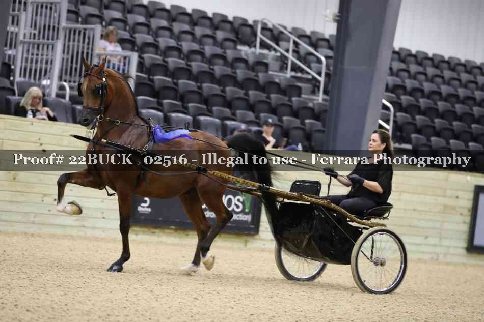 Proof 22BUCK_02516