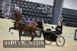 22BUCK_02516 proof