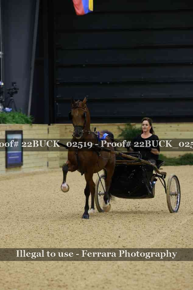 Proof 22BUCK_02519