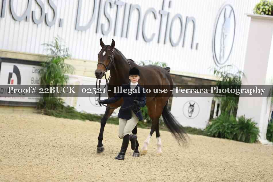 Proof 22BUCK_02521