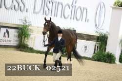 22BUCK_02521 proof