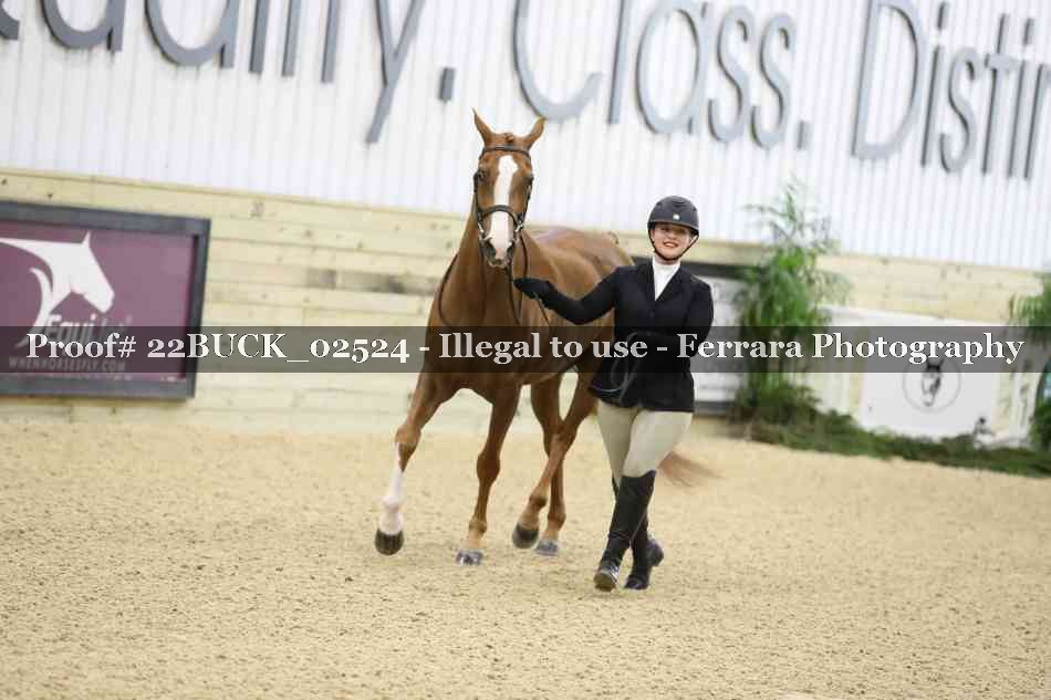 Proof 22BUCK_02524