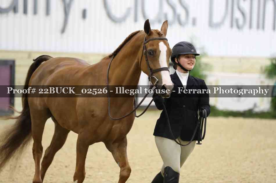 Proof 22BUCK_02526